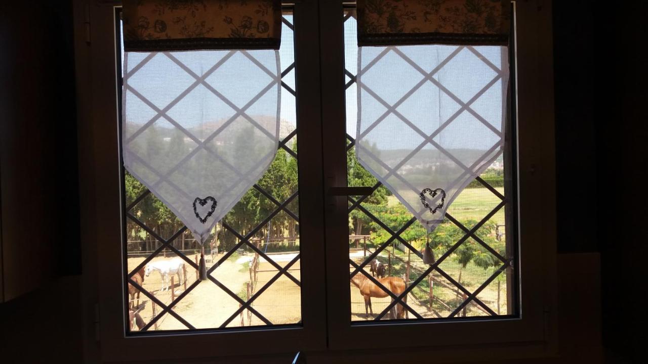 Casa Rural Hipica Mas Paguina L'Estartit Εξωτερικό φωτογραφία