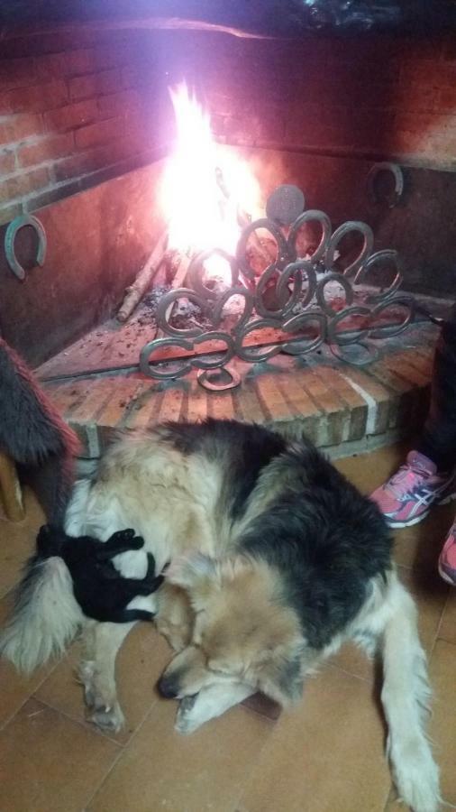 Casa Rural Hipica Mas Paguina L'Estartit Εξωτερικό φωτογραφία